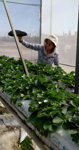 Centro de Prácticas Productivas